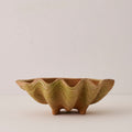 Aged Conch Shell Planter - Large